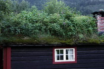   норвежские крыши
